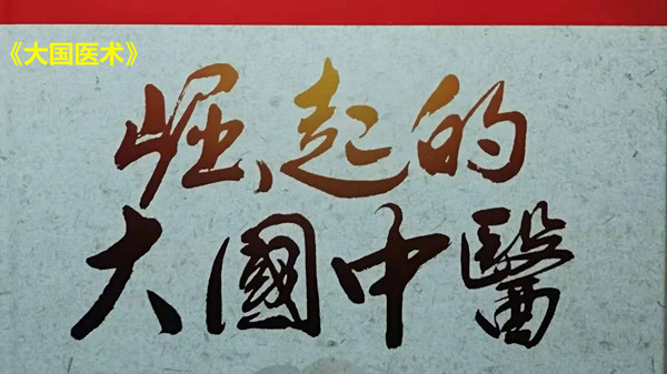 大国医术.jpg